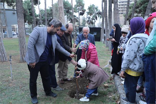 کاشت درخت زیتون به عنوان نماد صلح و دوستی در فرهنگسرای نیاوران